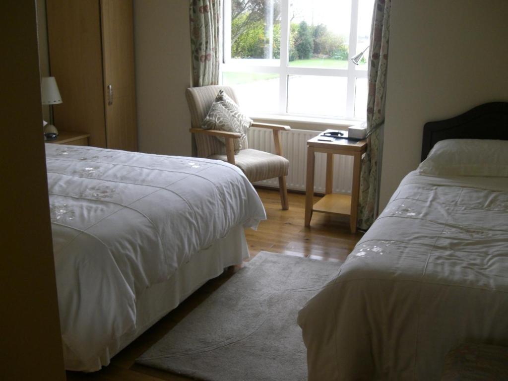 Ashley Lodge Bed & Breakfast Rosslare Harbour Exterior photo