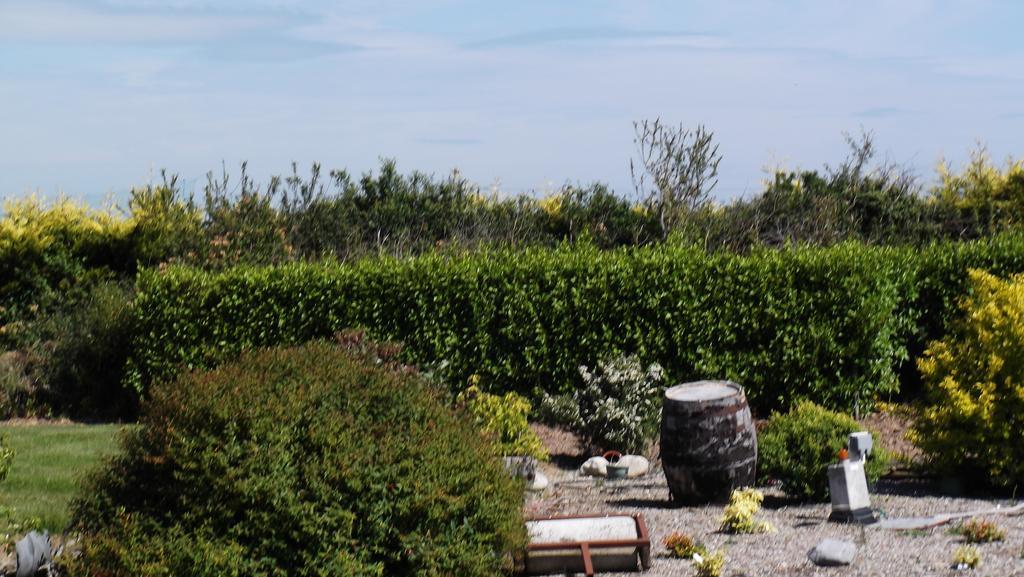 Ashley Lodge Bed & Breakfast Rosslare Harbour Exterior photo