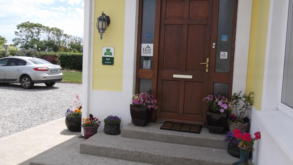 Ashley Lodge Bed & Breakfast Rosslare Harbour Exterior photo