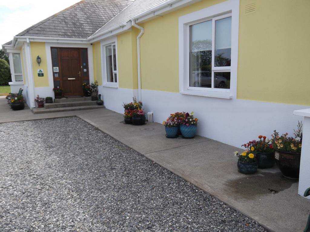 Ashley Lodge Bed & Breakfast Rosslare Harbour Exterior photo